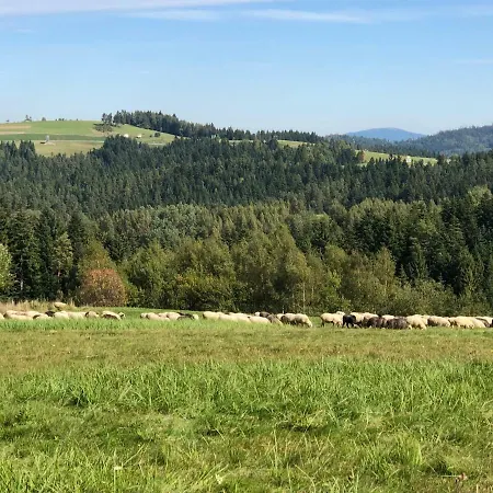 Agroturystyka Niznik Rokiciny Podhalanskie